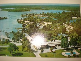   of 9 Vintage Florida Postcards Datona Miami Crystal River Barto