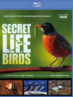 The Secret Life of Birds The Complete 5 Part Series Blu ray Disc, 2012 