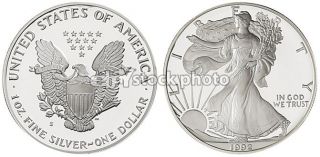 United States Silver Dollar, 1992 Bullion