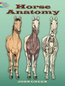 Horse Anatomy by John Green 2006, Paperback