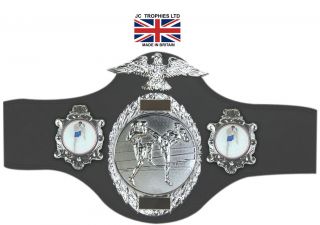   CHAMPIONSHIP BELT KICK BOXING/CAN BE CUSTOMISED/FRE​E ENGRAVING(288