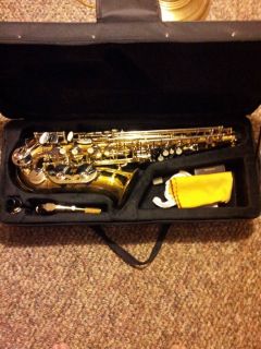 alto sax and case,10 reeds,mouthpiece cover,and accessories, perfect 