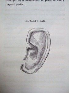 1836 Webster Deafness Ear Medicine Signed 1st Edition Illustrated 