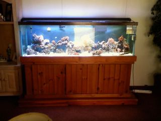 125 gallon Aquarium wood stand Wet Dry pump etc Complete LOCAL PICK UP 