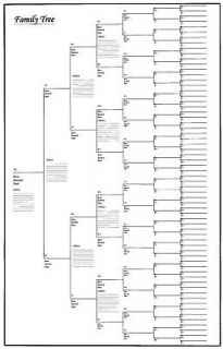 50 pack of large family tree charts 18 x 24