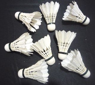 Sport Goose Feather Shuttlecocks Birdies Badminton White X 12PC