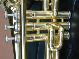 Special Mexican Banda EB Alto Horn 3 Pistone Trombone