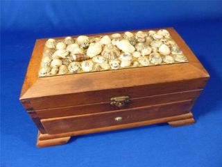    Retro Nice Beveled Jewellery Wooden Box Decorated with Beach Shells