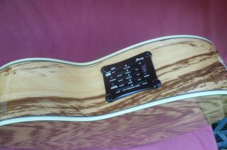   EW20ZWE NT Exotic African Zebra Wood Acoustic Electric Guitar
