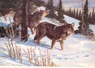 TIMBER WOLF Tom Beecham Remington Wildlife Art Collection Print