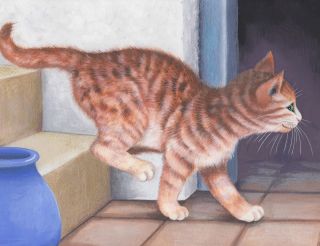 Ginger Tabby Cat Limited Edition Print Sue Barratt
