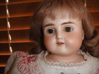 Antique German Alt Beck Gottschalk Turned Shoulderplate Bisque Doll 
