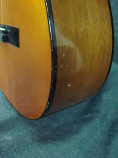 Tanara C 101 Classical Nylon String Acoustic Guitar C101 With Case