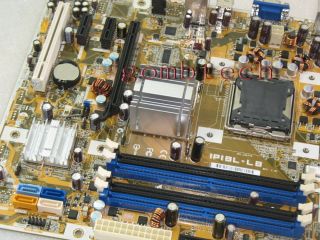 Asus Ipibl lb HP G33 Benicia GL8E Intel LGA 775 VGA