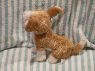 This auction is for a Beverly Hills Puppy Club Chihuahua plush that is 