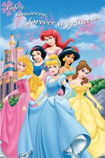 Disney Poster Princess Forever Castle Ariel Belle