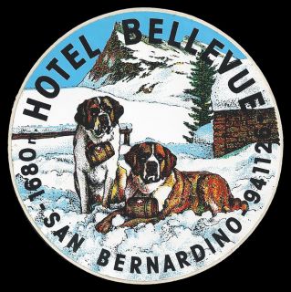 Hotel Bellevue San Bernardino Switzerland Swiss Vintage Luggage Label 