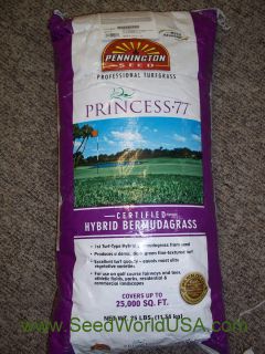 Princess 77 Certified Hybrid Bermuda Grass Seed 1 lbs Bulk Tested 2012 