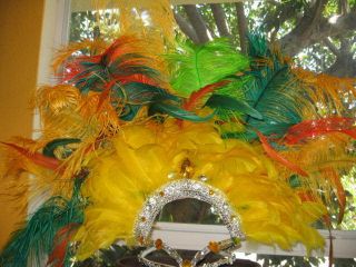 Carnival Costume Feather Head Piece with Jewels Ensemble