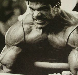 Lou Ferrigno Bill Bixby Incredible Hulk Scrapbook Clippings