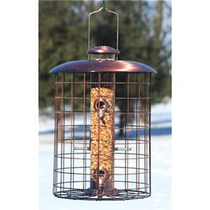 Woodlink Squirrel Proof Brushed Copper Seed Tube Bird Feeder Free 