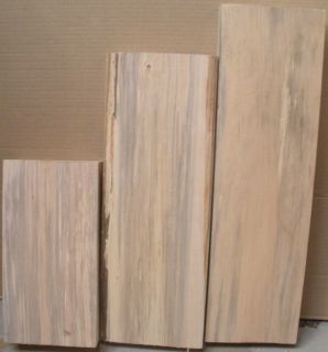 Large Spalted Basswood Carving Blocks Craft Wood Blanks