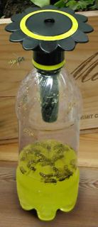 Soda Bottle Wasp, Hornet, Yellow Jacket Trap Recycle 