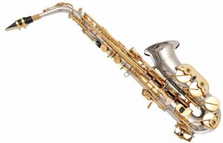   EB Alto Saxophone Sax Lazarro Tuner 11 Reeds Book Case Care Kit