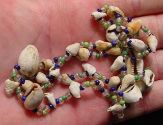   Trade Beads Harney Massacre Billy Bowlegs Seminole RAID of Fort