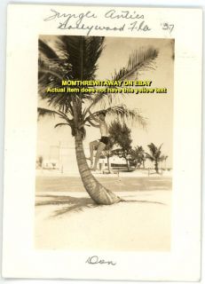 1937 Photo Florida FL Hollywood Beach Man Swimsuit Climbing Palm Tree 