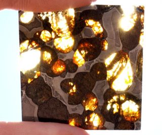 Brenham meteorite pallasite Part slice 10 4 grams