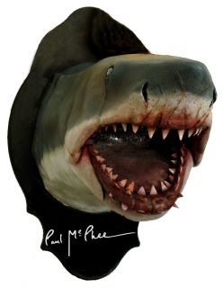  Jaws Bruce Bust