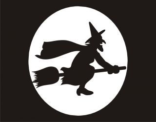 Witch Broom Wizard Moon Halloween Party Custome Witchcraft Cool Funny 