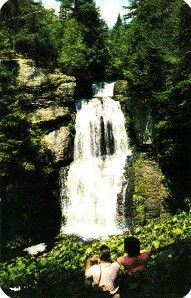 56 Bushkill Falls Pocono Mountains PA Vintage Postcard