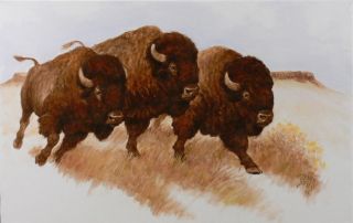   Western Art Running Buffalo Bulls Oil Painting by John T Jones