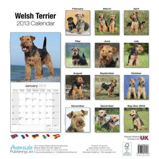   art motivational inspirational welsh terrier 2013 calendar 30485 13