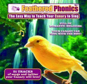Feathered Ponics   The Easy Way To Teach Your Canary To Sing