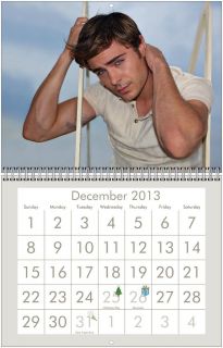 Zac Efron 2013 Wall Calendar