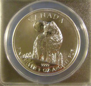 2011 Canada 5$ 1 oz Silver Timber Wolf MS70 ANACS RARE Perfection Free 