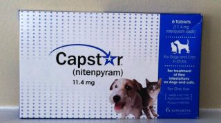 Novartis Capstar Blue 6 Tablets For Dogs or Cats 2 25 Lbs NEW