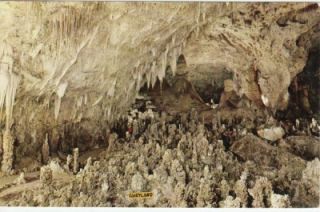 Vintage Postcard c1959 Fairyland Carlsbad Caverns