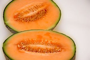 Melon Iroquois Muskmelon Cantaloupe 40 Seeds GroCo
