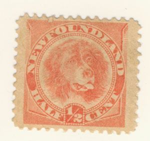 newfoundland stamp scott 57 1 2 cents dog condition mint no gum this 