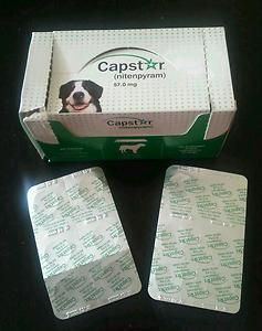 Capstar for Dogs Over 25 lbs 12 Tablets