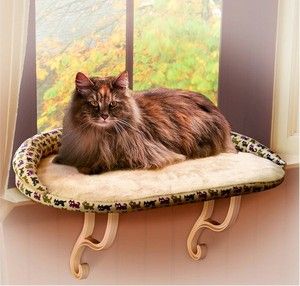 Pet Cat Window Bed Kitty Perch Comfortable Soft Seat Shelf Furniture 