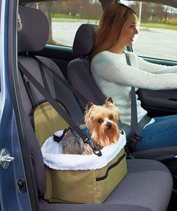   Seat Dog Cat See Out The Window Up to 20 Pounds Safe Car Seat