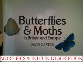 Butterflies Moths in Britain Europe by David Car
