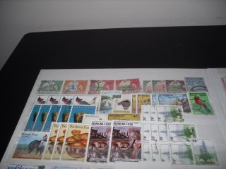 COMMONWEALTH STAMPS COLLECTION IN STOCKBOOK