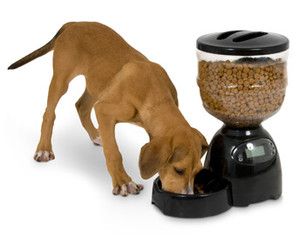  Le Bistro Programable 10 lb Automatic Dog or Cat Food Feeder