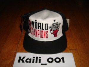 Vtg Chicago Bulls NBA 1996 Champions Snapback Hat SB OG
